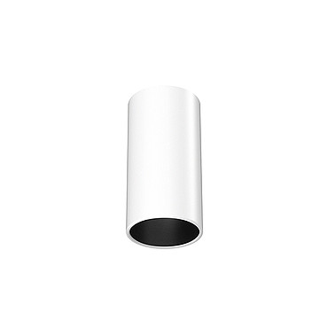  Flos Kap Surface Ceiling 115 White / Black 03.4513.11 PS1030217-51674