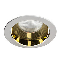 Downlight HIT Gold ForaLED