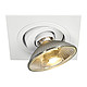 ���������� TWISTER Downlight (SLV)