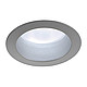 ���������� HORN LED (SLV)