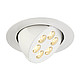 ���������� TRITON GIMBLE LED (SLV)