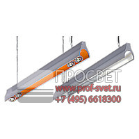 ���������� CORRIDO �������� ����������