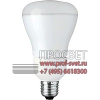  PL-Electronic Reflector R80 Philips