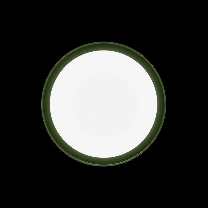 Светильник Ares Anna310 Mid-Power LED / Bicolour Structure White-Green 533020 PS1026333-35135