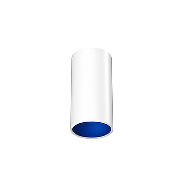  Flos Kap Surface Ceiling 115 White / Blue 03.4512.11 PS1030217-51673