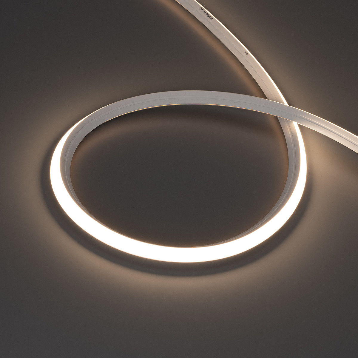 Лента герметичная Arlight MOONLIGHT-3D-X544-10x10mm mono гибкий неон PS1053795