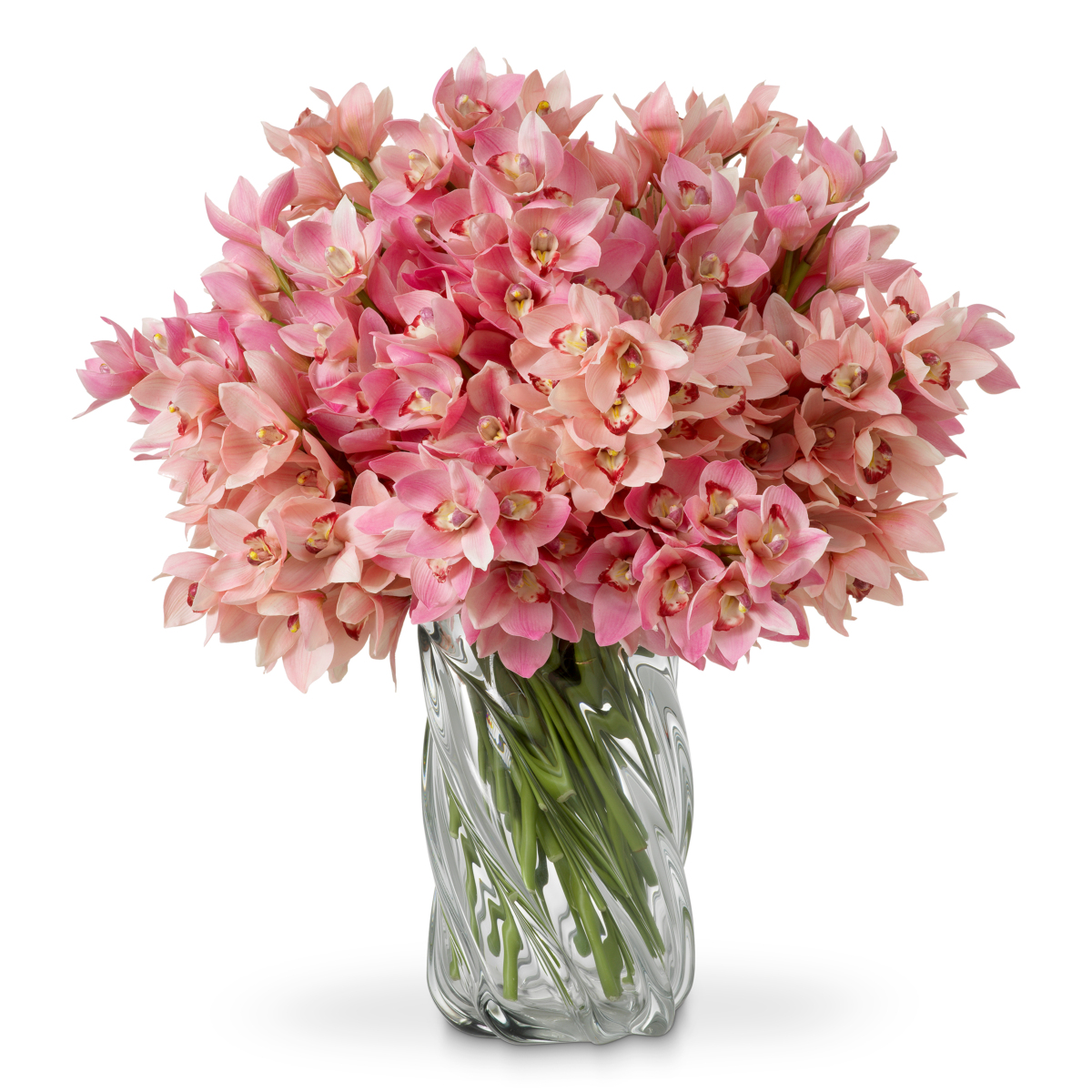 Букет Eichholtz Cymbidium Orchids real touch 119282 PS1056484