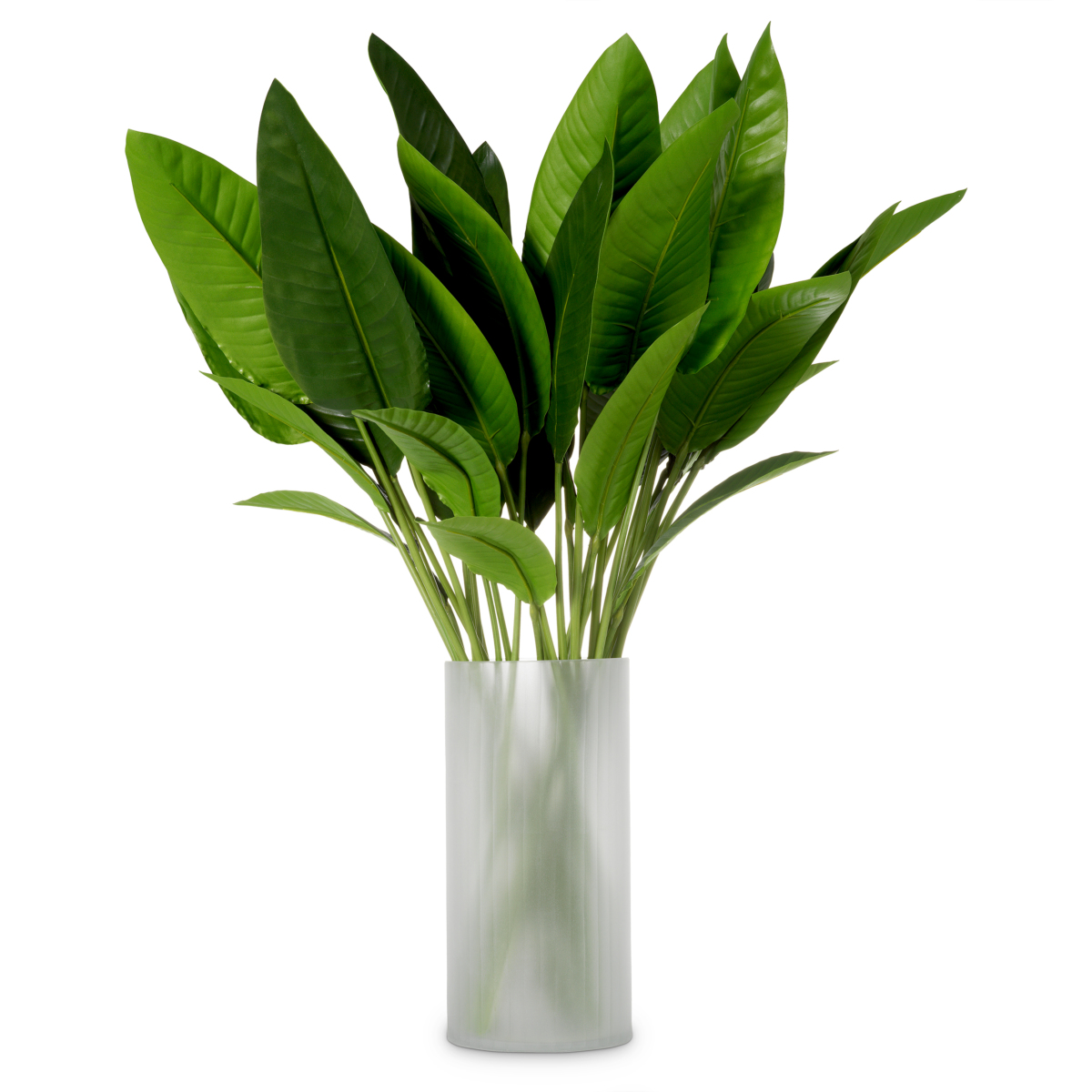 Букет Eichholtz Strelitzia leaves 119287 PS1056483