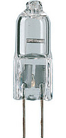  Halogen 12V Capsule 4yr Philips