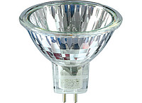  Halogen 12V Dichroic 4 years Philips