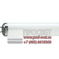  TL Rapid Start Standard Colours Philips