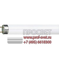  Master TL-D Super 80 Philips