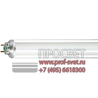 ����� Master TL-D Xtreme Polar Philips