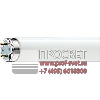  Master TL-D Xtreme ClearSky Philips