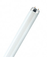 Лампа Lumilux T8 Osram