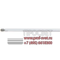  Master TL5 High Output TOP Philips