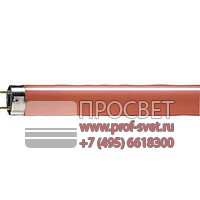  TL-D Coloured Philips