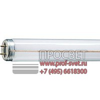  TL-M Rapid Start Standard Colours Philips