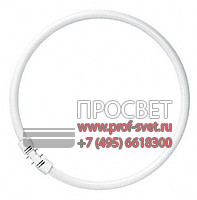  Lumilux T5 FC fluorescent circline Osram