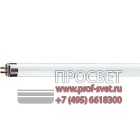  Master TL5 High Output Philips