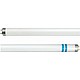 Philips ����� Master TL-D Secura