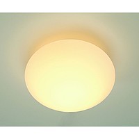 LIPSY OUT CEILING SLV