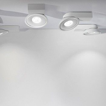 TWEETER ON Delta Light