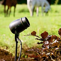 Micro on pin Authentage