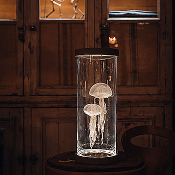 La Meduse PM Vox-Populi