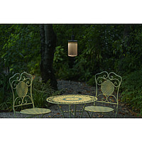 Astral Trellis Platek