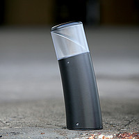 Bamboo Roger Pradier