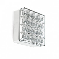 Cells Surface Reggiani