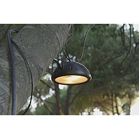 EPIPHYTE Duratii Jean-Philippe Weimer