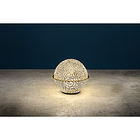 Medouse F Catellani & Smith