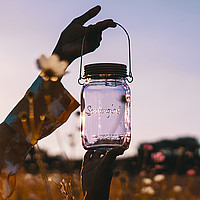 Lilac Edition Sonnenglas