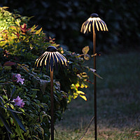 Madama Butterfly Inverlight