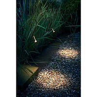 Syphaduepassi Catellani & Smith