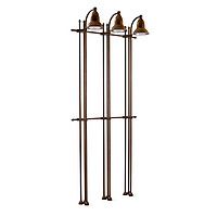 Passiflora Aldo Bernardi