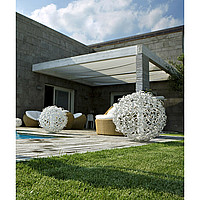 SALSOLA MO Icone Luce