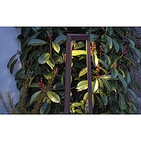 Tripo Bollard Exenia