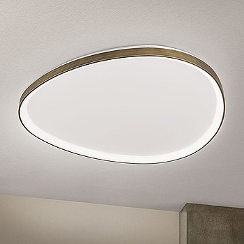 Charlie D80 3000K Orion