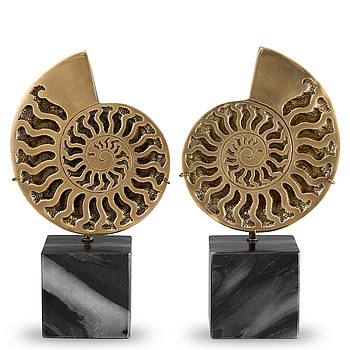 Ammonite Eichholtz