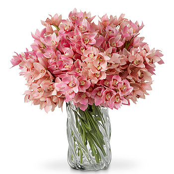 Cymbidium Orchids real touch Eichholtz