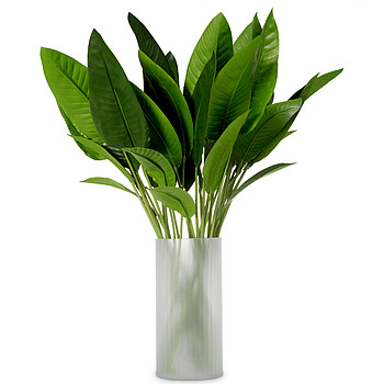 Strelitzia leaves Eichholtz