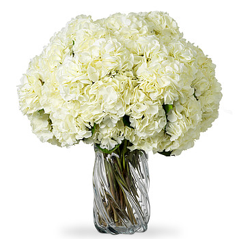 Hydrangeas real touch Eichholtz