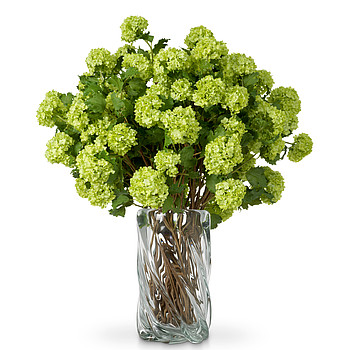 Hydrangeas snowball real touch Eichholtz