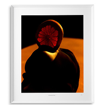 Philippe Vogelenzang - Vitamin oral Eichholtz