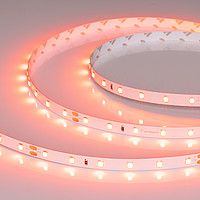 RT-A60-8mm ������������� [4.8 W/m] Arlight