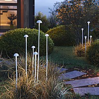 KT-ENOKI-BOLL Arlight