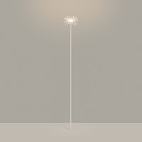 KT-DANDEL-BOLL Arlight